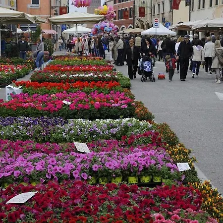Alla Cerva Tradizionale Casa Veneta Vista Fiume Apartamento *